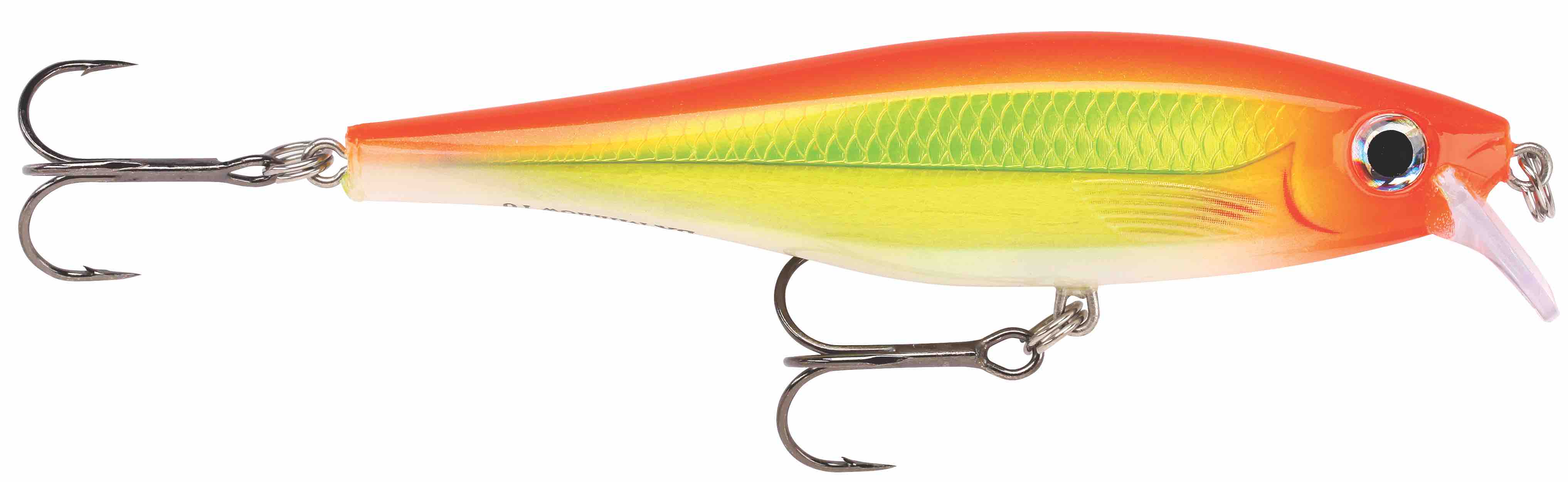 Lant Rapala BX Minnow 10cm 12g HH