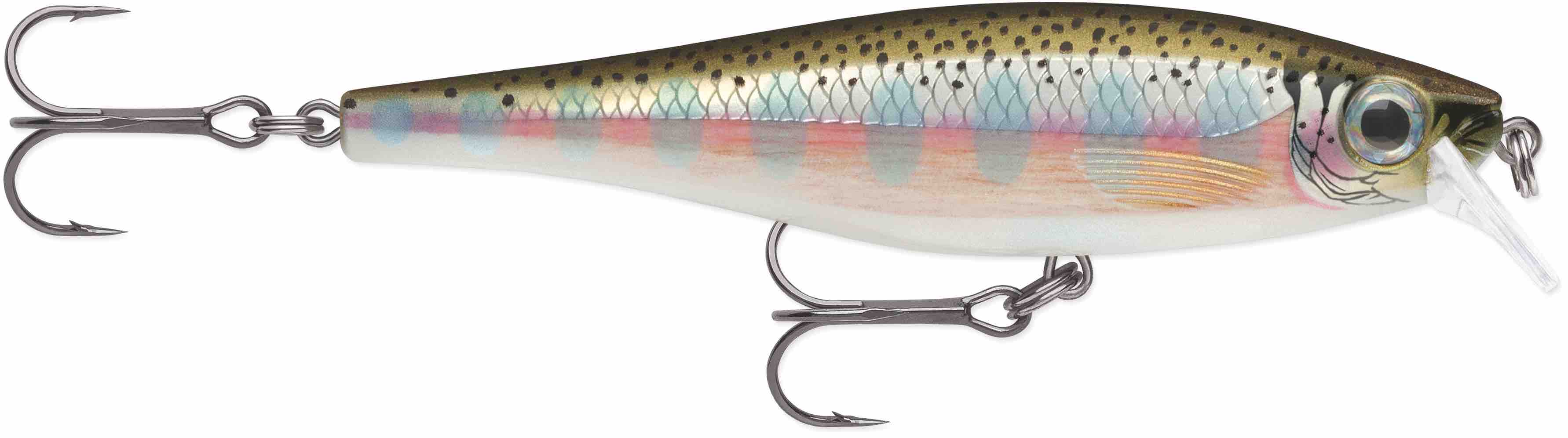Lant Rapala BX Minnow 10cm 12g RT