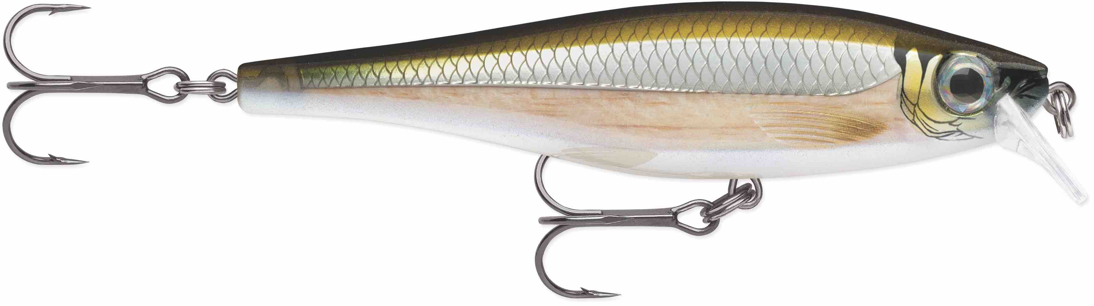 Lant Rapala BX Minnow 10cm 12g SMT